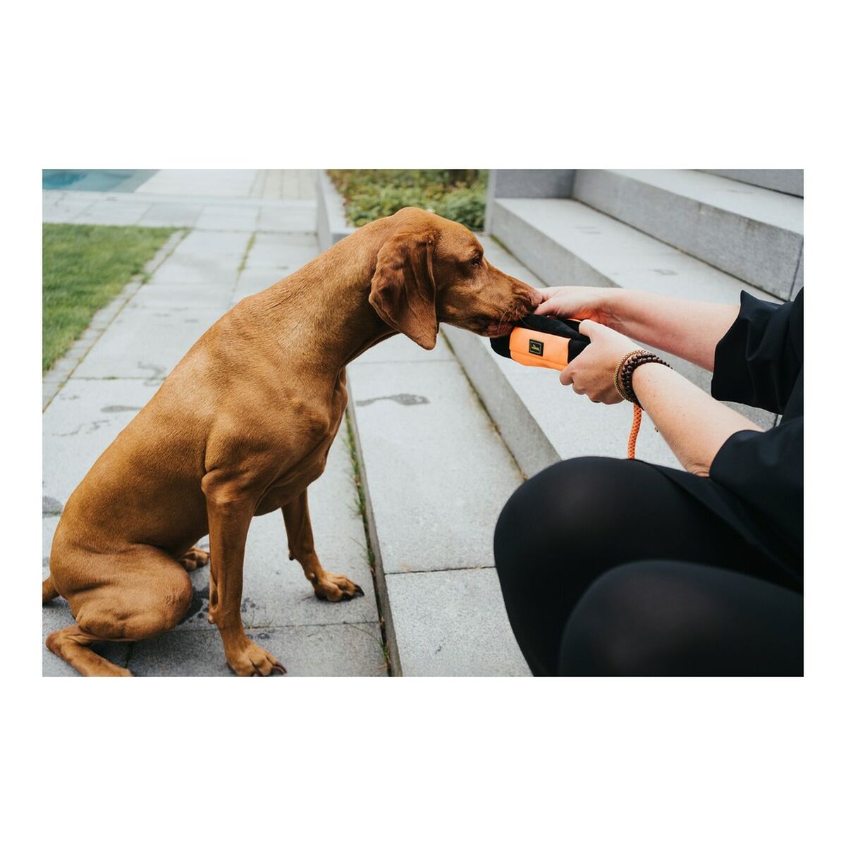 HUNTER Trainer Snack Dummy-1