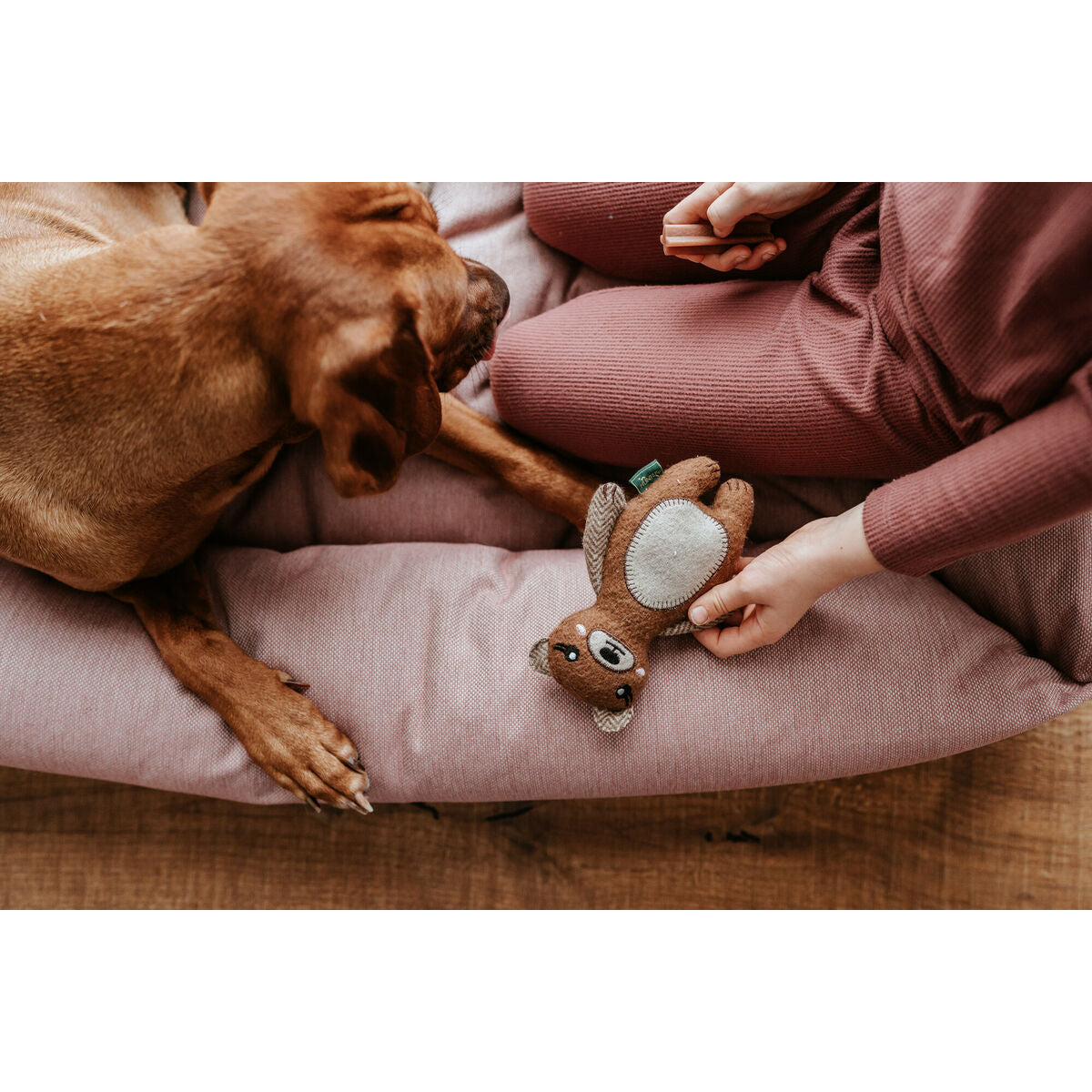 HUNTER Kuscheltier Bär – Nachhaltig & liebevoll (20 cm, Braun)-4