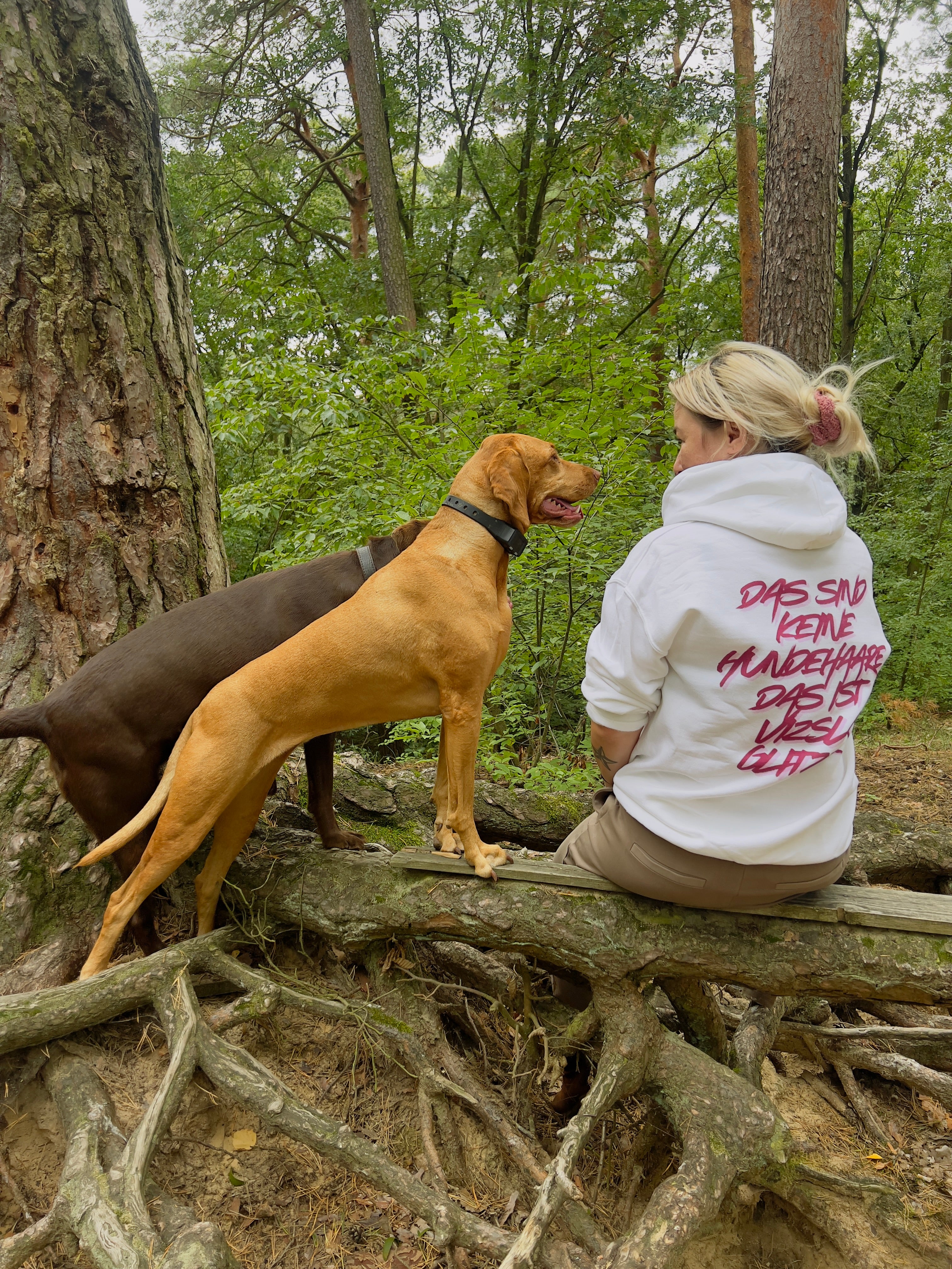 Vizsla Glitzer Hoodie – Für alle, die Hundehaare mit Stolz tragen