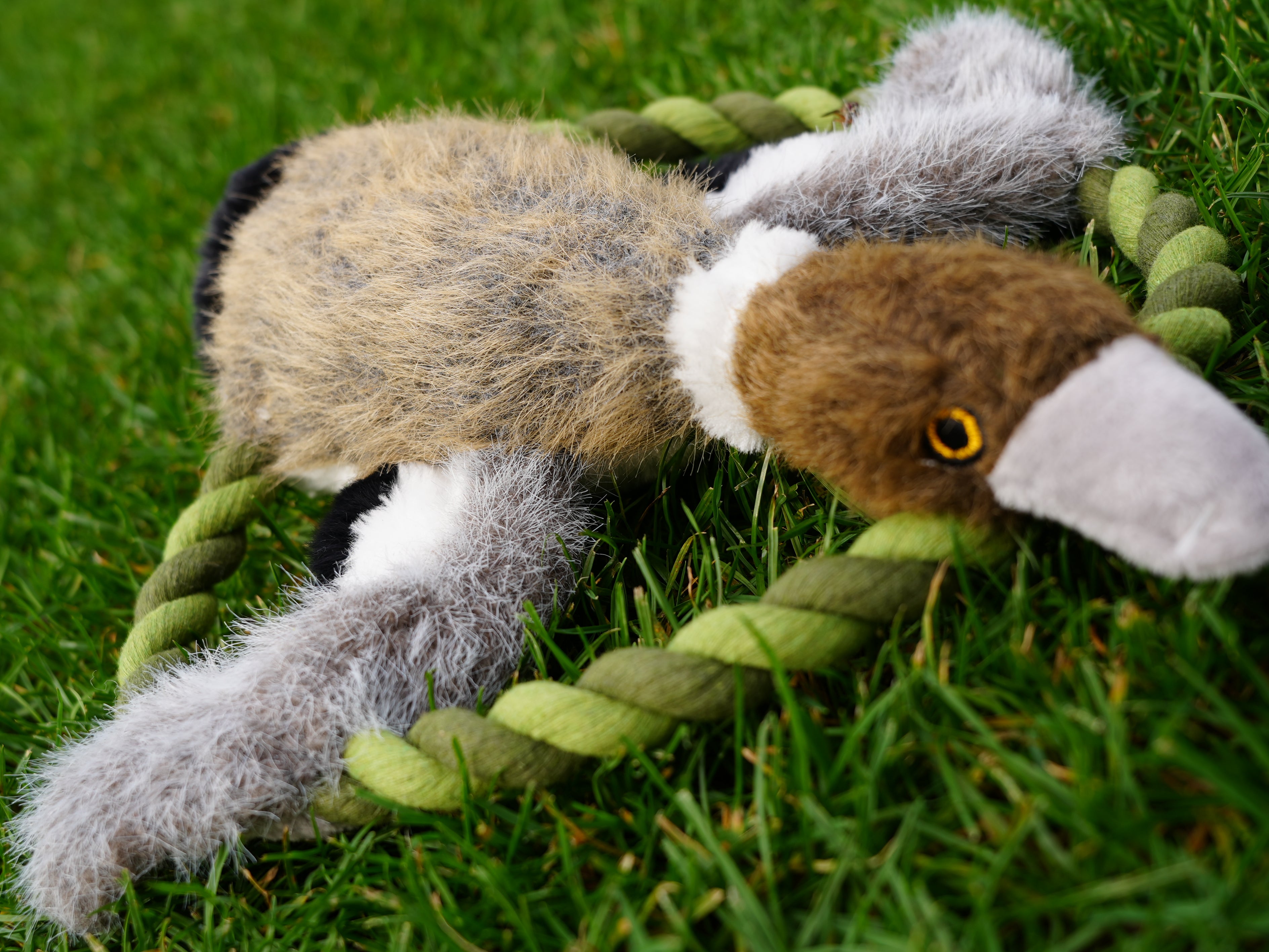 HUNTER WILDLIFE TRAINING ENTE (26 cm)