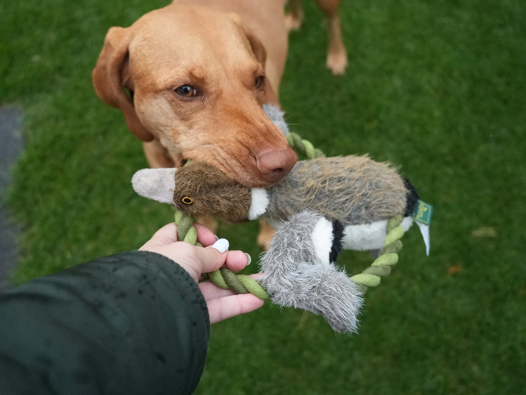 HUNTER WILDLIFE TRAINING ENTE (26 cm)