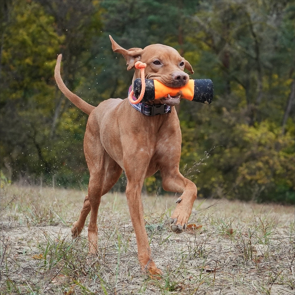 HUNTER Trainer Snack Dummy